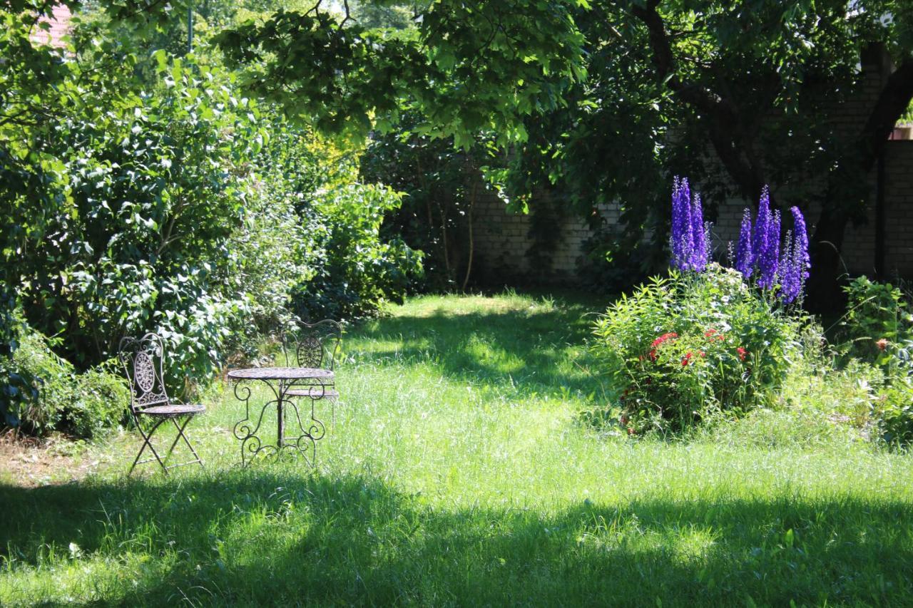 Ferienwohnung Am Weltnaturerbe Grumsin Ziehten المظهر الخارجي الصورة