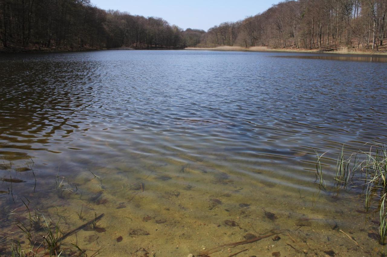 Ferienwohnung Am Weltnaturerbe Grumsin Ziehten المظهر الخارجي الصورة